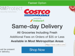 Potential Costco Phishing Attempt 4