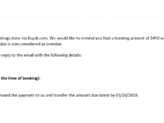 Fake Kayak Email? Phishing Attempt 2