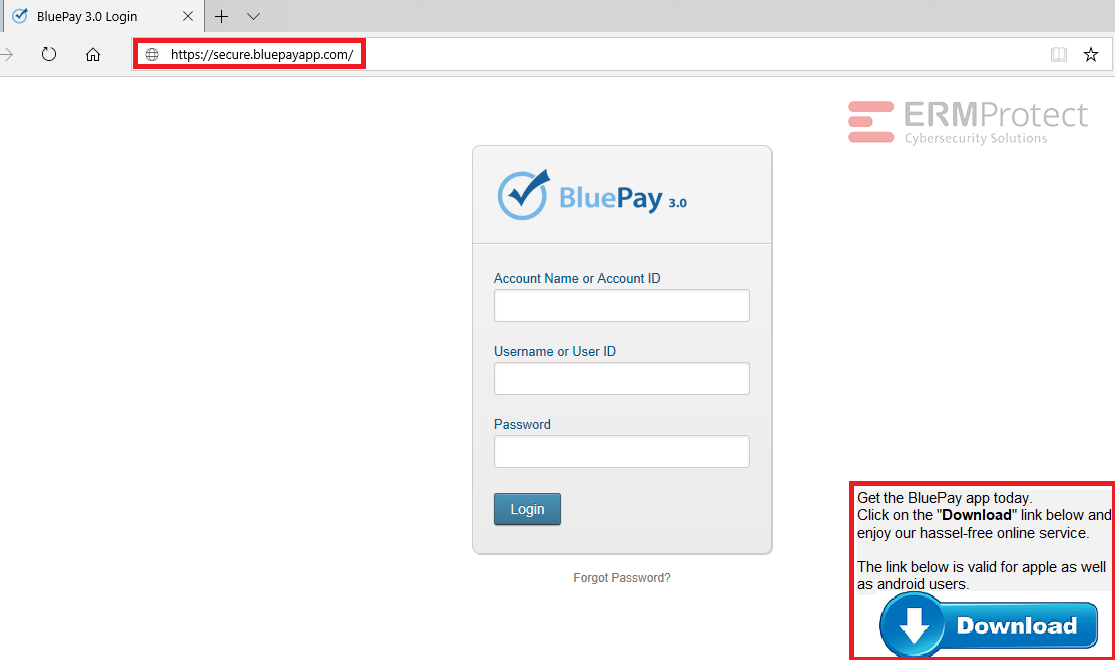 phishing website