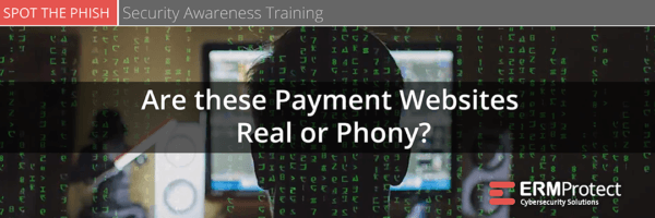 Security Awareness Training - Are these payment websites real or phony?