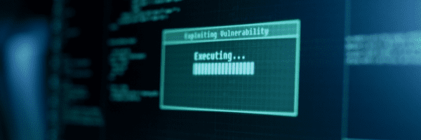 Exploiting Vulnerability, Executing and Granted Access