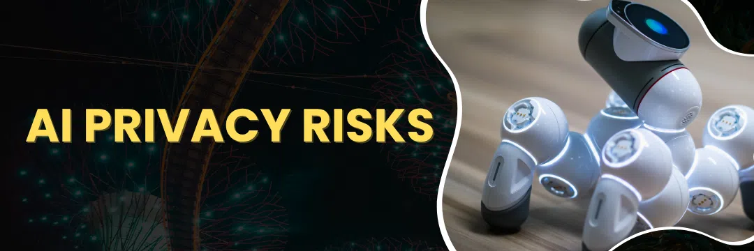 AI Privacy Risks